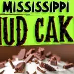 Mississippi Mud Cake