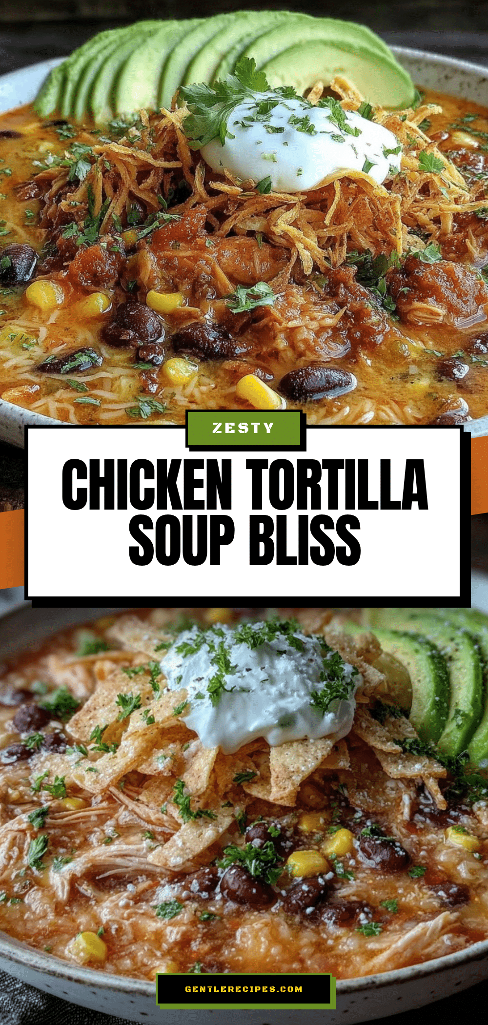 Savory Chicken Tortilla Soup Recipe Easy Weeknight Dinner Idea 5 chicken tortilla soup recipe