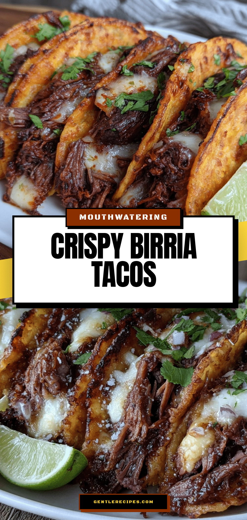 Easy Juicy Birria Tacos Recipe 5-Step Crockpot Quesabirria Guide 5 easy juicy birria tacos recipe recipe