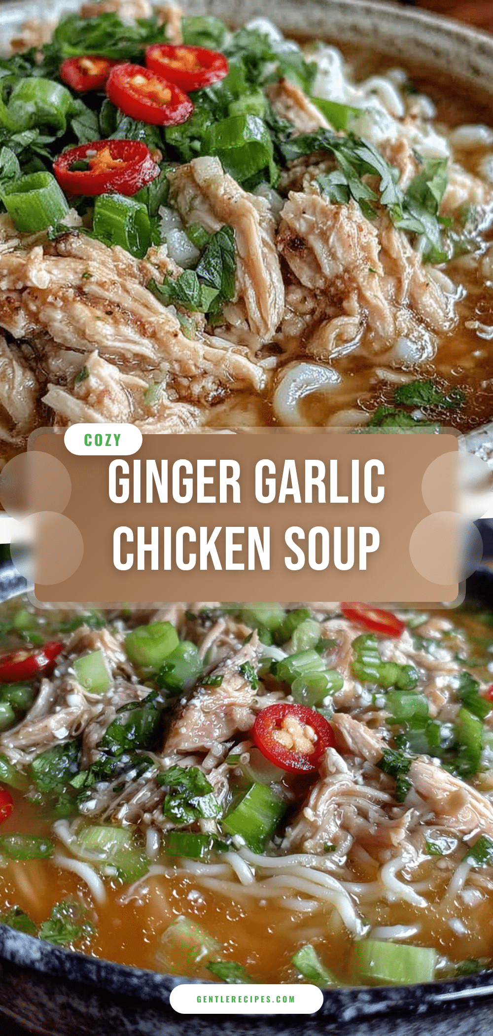 Easy Ginger Garlic Chicken Noodle Soup Recipe for Cozy Comfort at Home 5 ginger garlic chicken noodle soup recipe