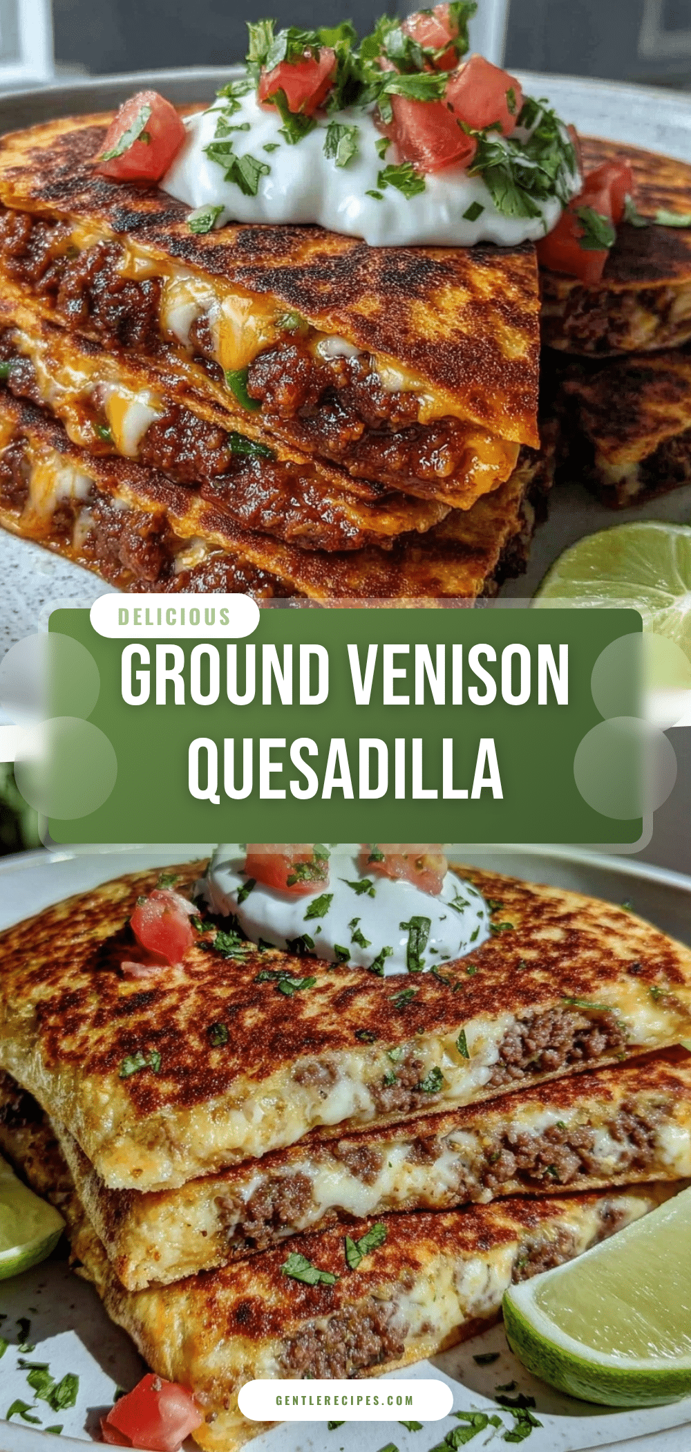 Savory Ground Venison Quesadilla Recipe Easy Weeknight Dinner Idea 5 ground venison quesadilla recipe