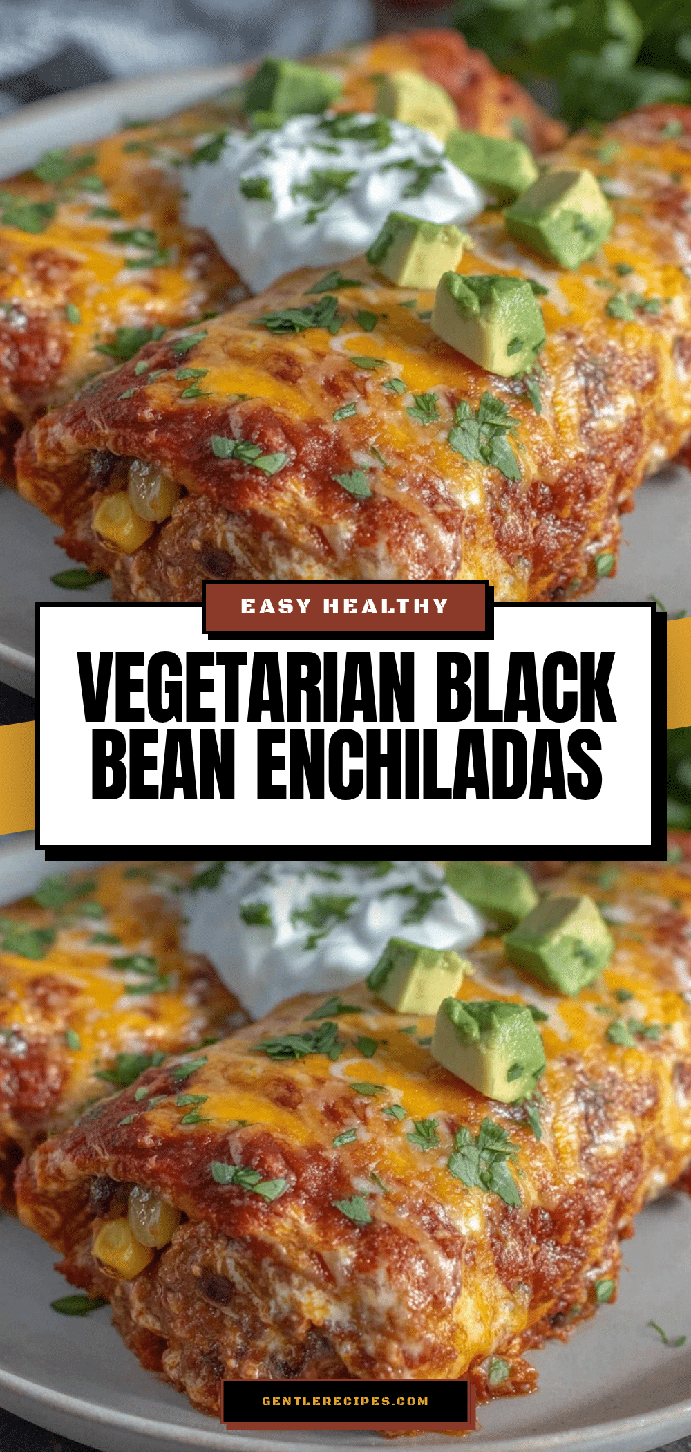 Easy Healthy Vegetarian Black Bean Enchiladas Recipe Perfect for Quick Dinner 5 healthy vegetarian black bean enchiladas recipe