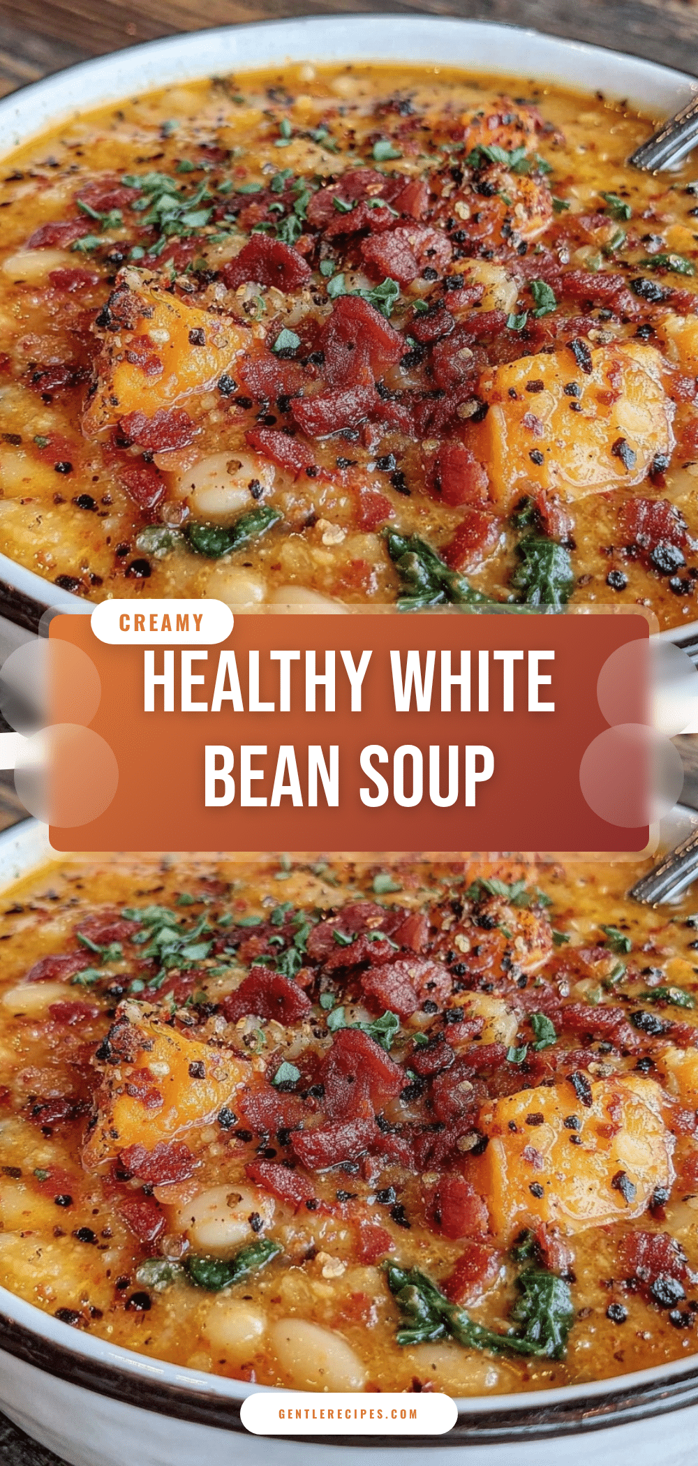 Healthy White Bean Soup Recipe Easy Creamy Low Calorie Vegan Delight 5 healthy white bean soup recipe recipe