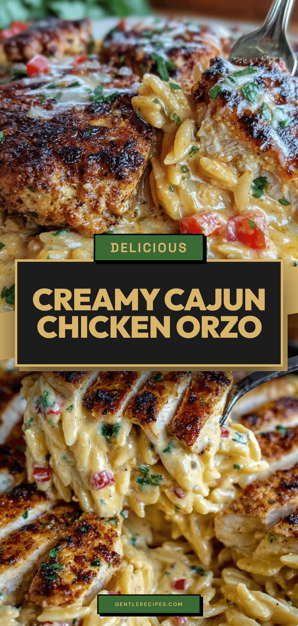 Cajun Chicken Alfredo Orzo Recipe Easy Creamy Dinner in 30 Minutes 5 Cajun Chicken Alfredo Orzo recipe