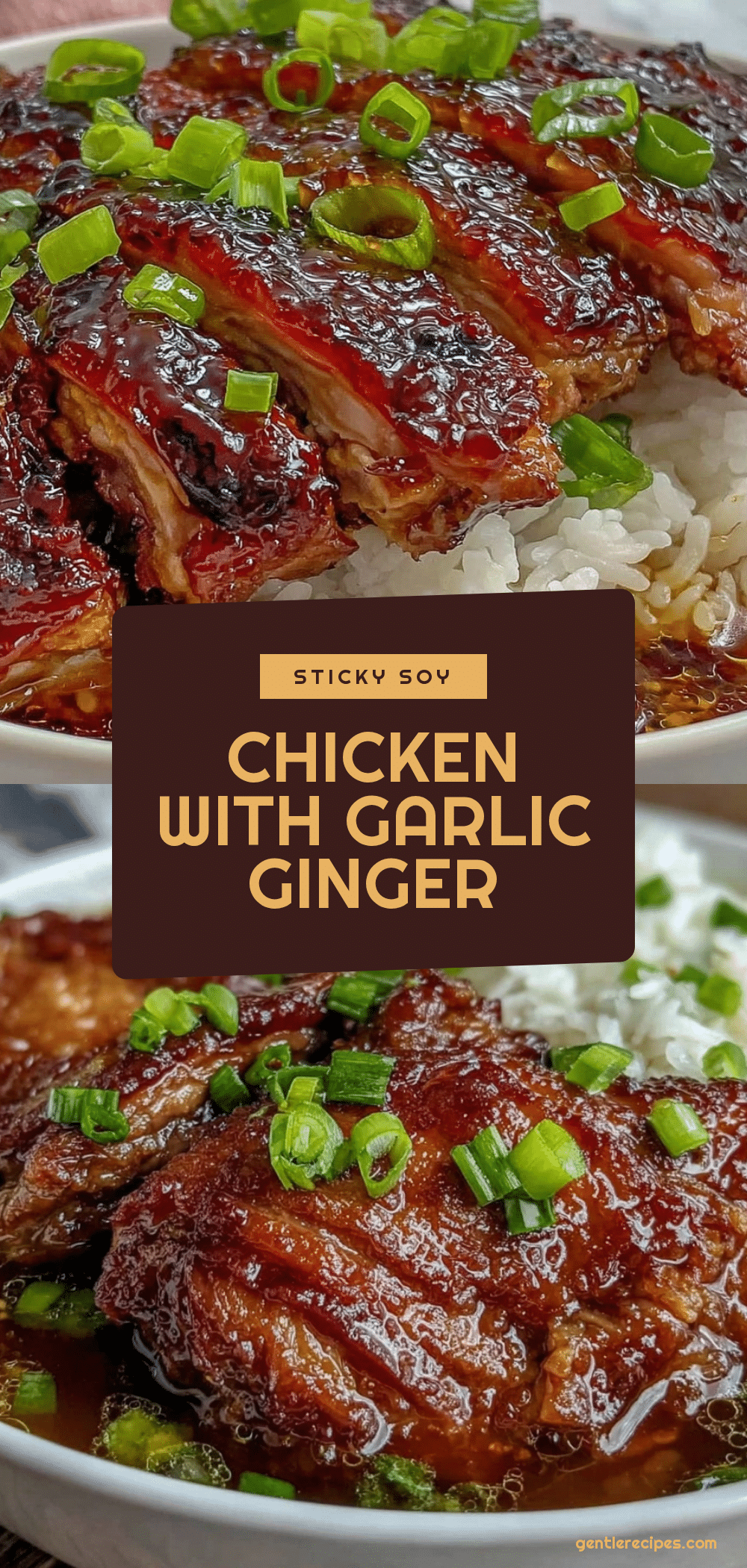 Caramelised Soy Chicken Recipe Easy Healthy Garlic Ginger Broth with Rice 5 caramelised soy chicken recipe recipe