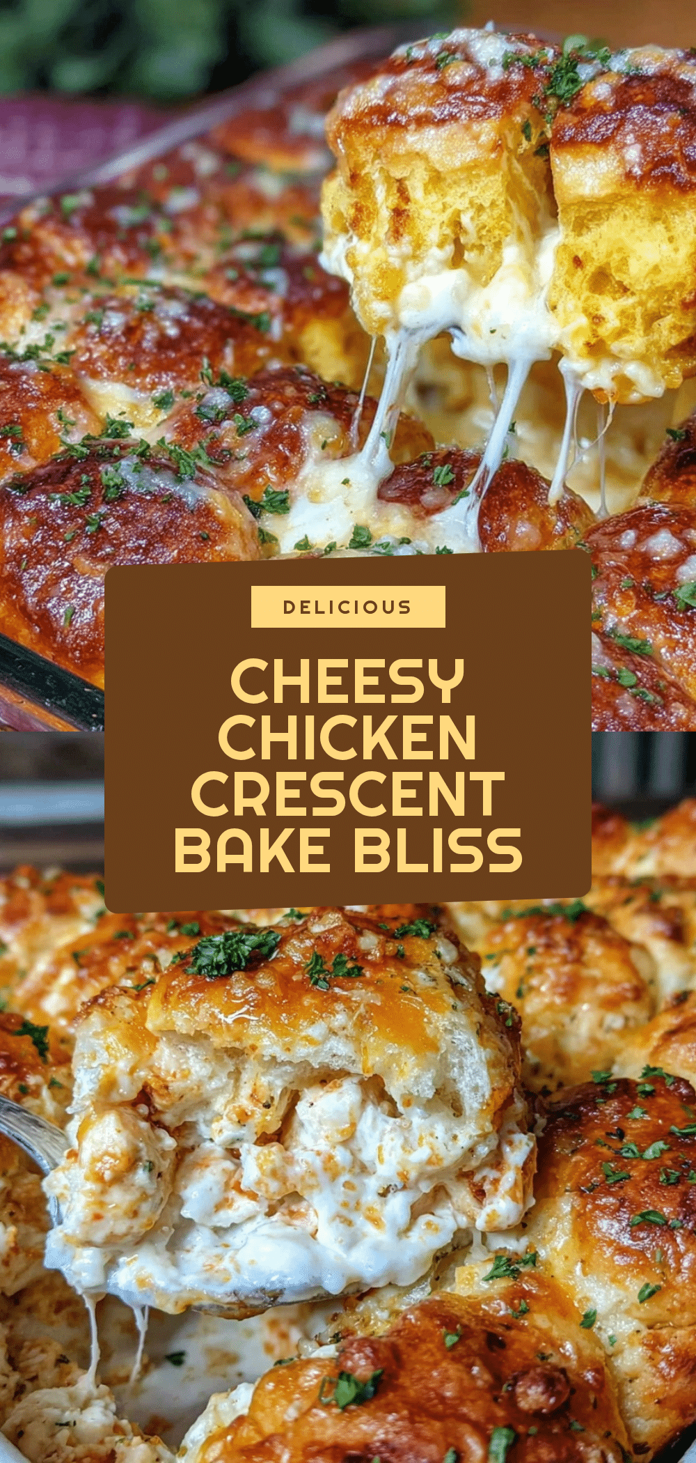 Cheesy Chicken Crescent Bake Recipe Easy Juicy Tender Chicken Dinner 5 cheesy chicken crescent bake recipe