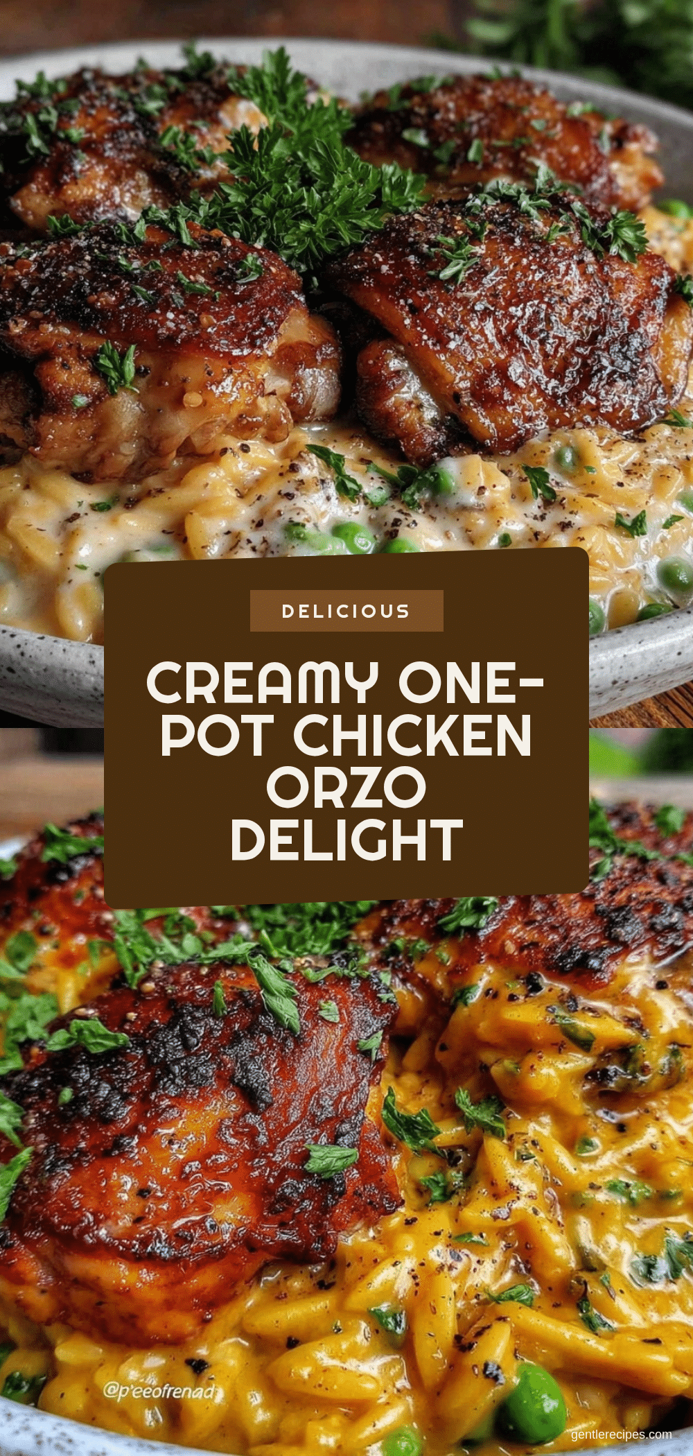 Creamy One-Pot Chicken Orzo Easy Dinner Recipe for Two Perfect Meal 5 creamy one-pot chicken orzo recipe