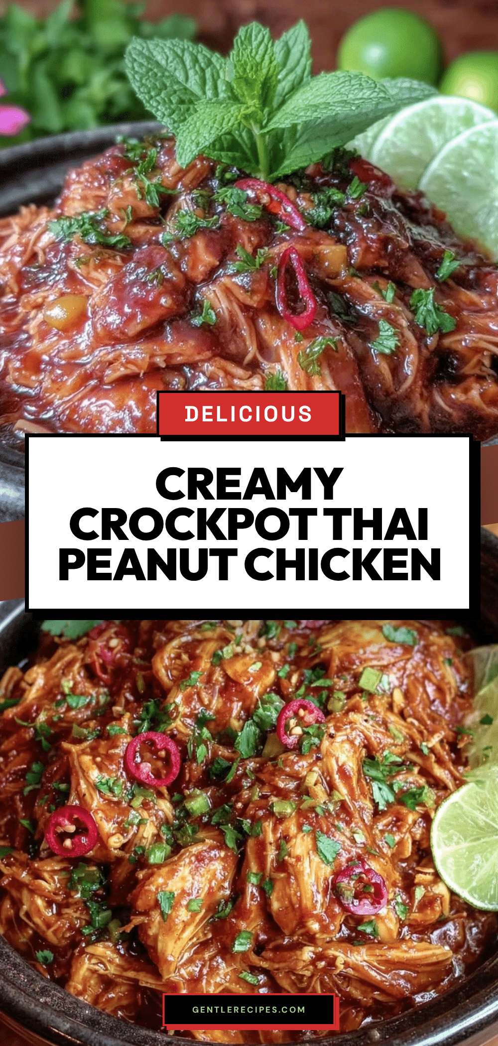 Crockpot Thai Peanut Chicken Recipe Easy Creamy Dinner Idea 5 crockpot thai peanut chicken recipe