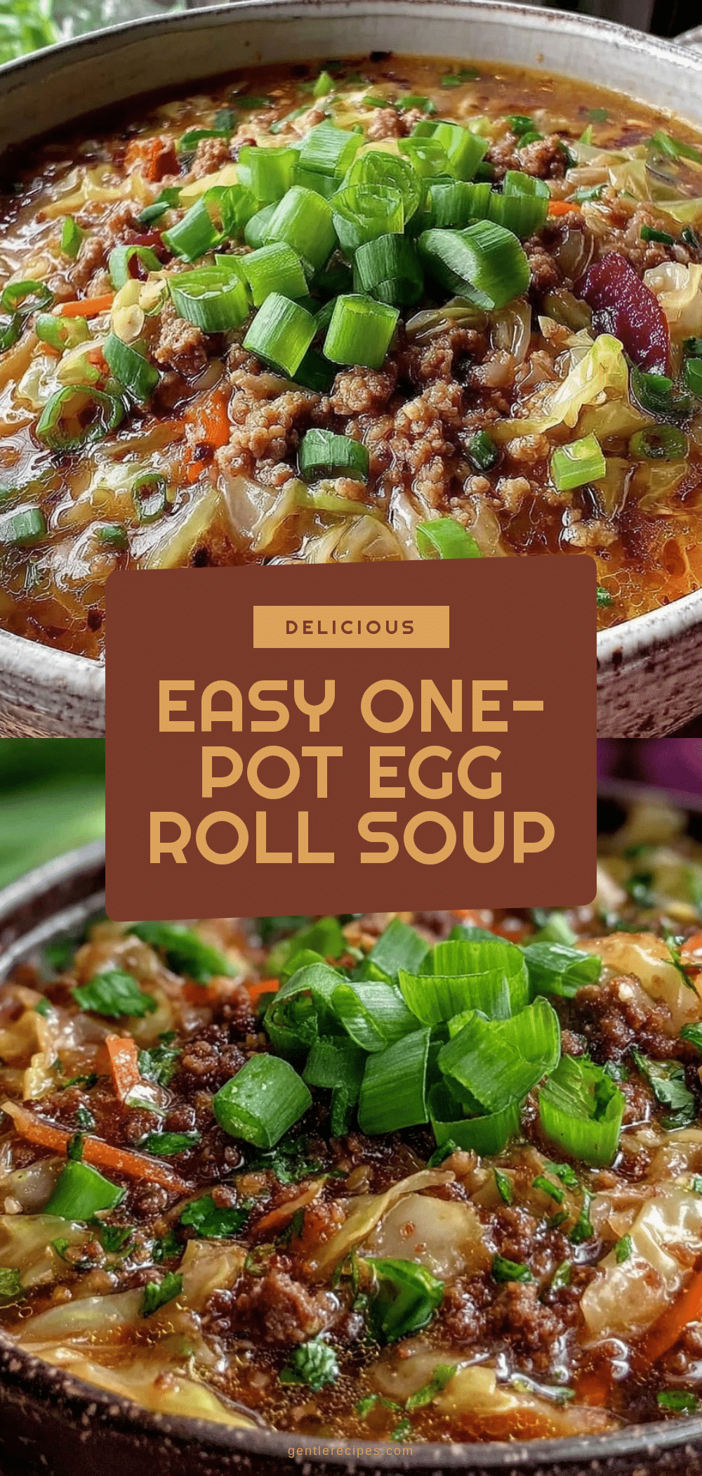 One-Pot Egg Roll Soup Recipe Easy and Ready in 30 Minutes 5 one-pot egg roll soup recipe recipe