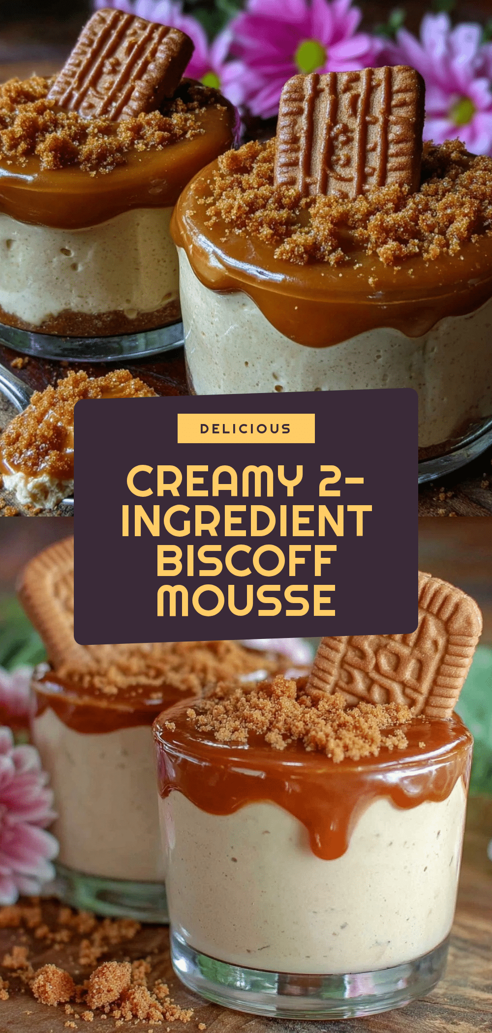 Easy 2-Ingredient Biscoff Mousse Recipe Perfect for Fluffy Desserts 5 2-ingredient Biscoff mousse recipe