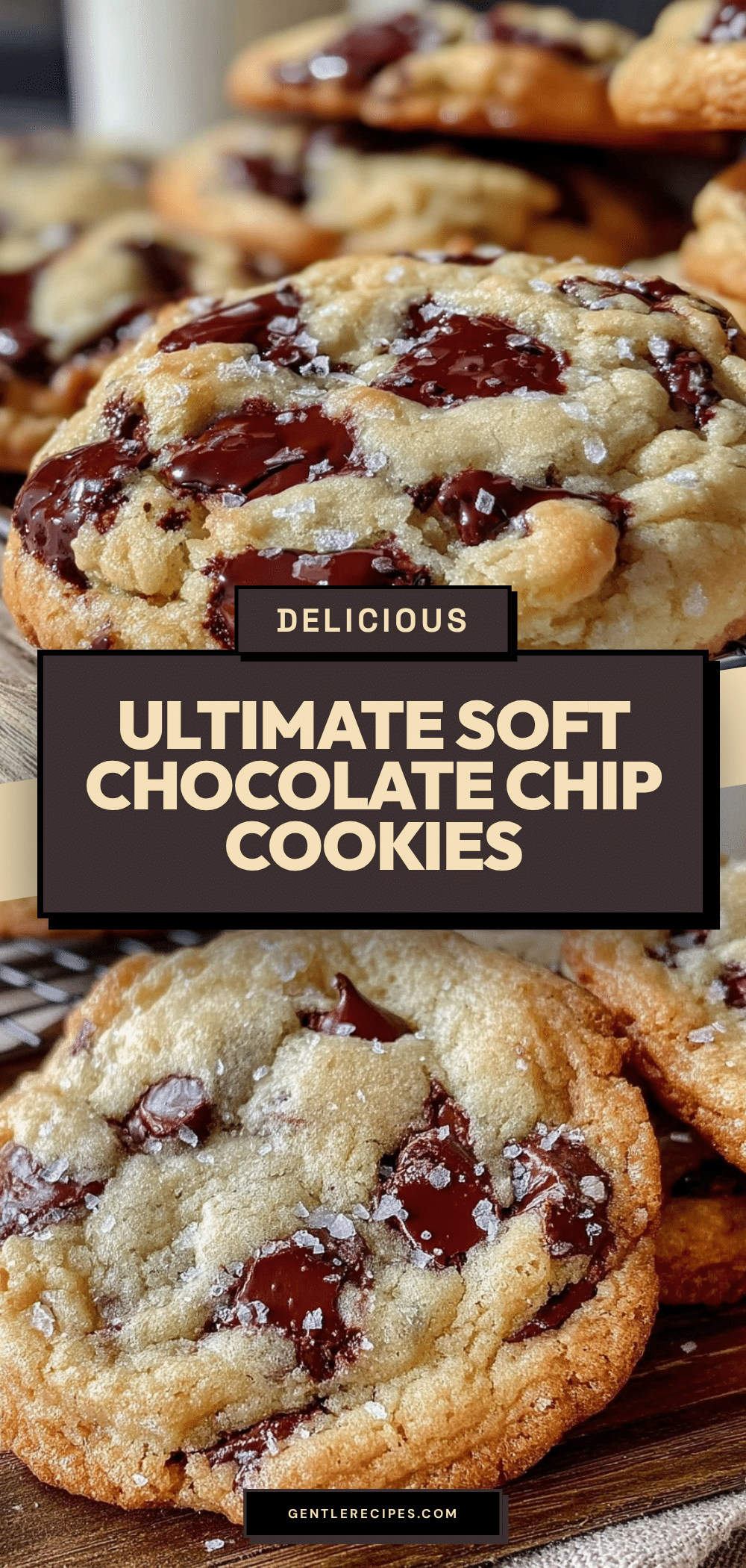 Chewy Chocolate Chip Cookies Recipe Easy Soft Tender Texture Guide 5 chewy chocolate chip cookies recipe recipe