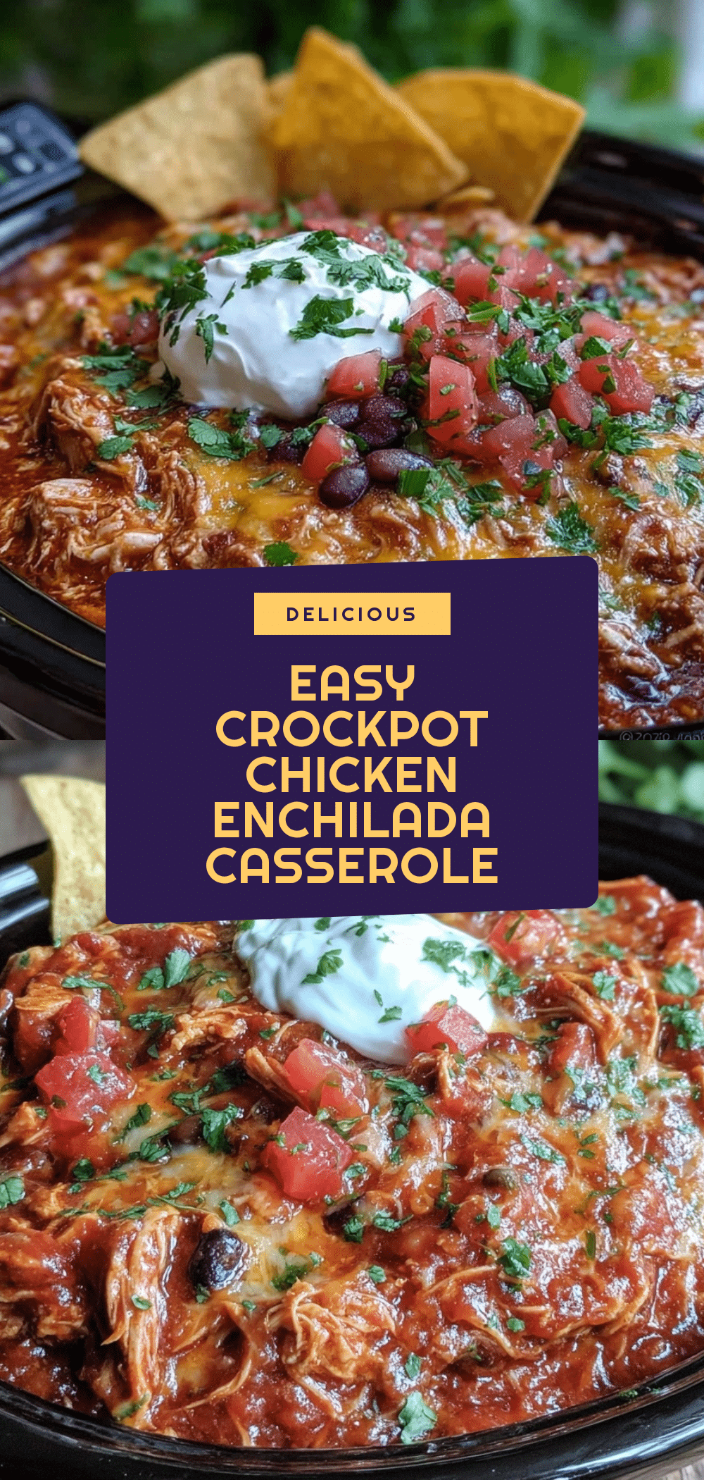 Crockpot Chicken Enchilada Casserole Easy Weeknight Dinner Recipe 5 crockpot chicken enchilada casserole recipe
