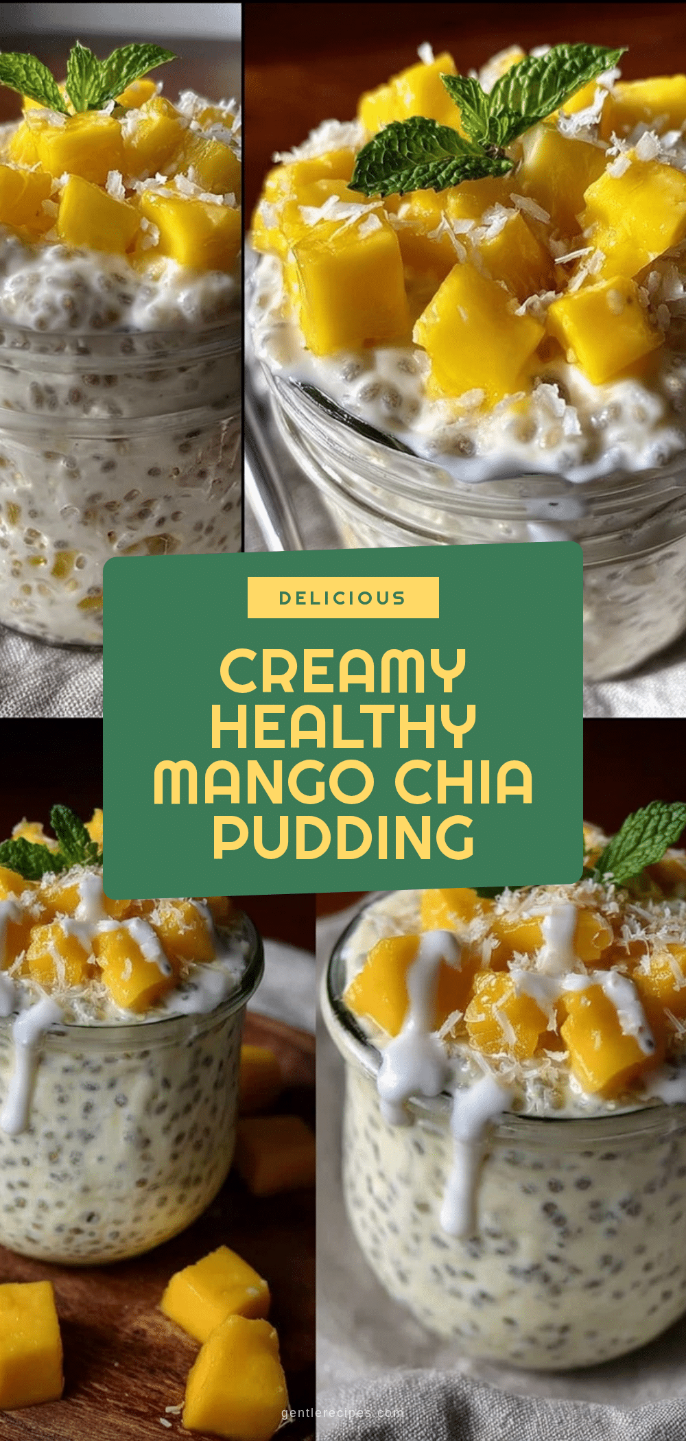Healthy Overnight Chia Seed Pudding with Mango Easy 5 Minute Recipe 5 healthy overnight chia seed pudding with mango recipe