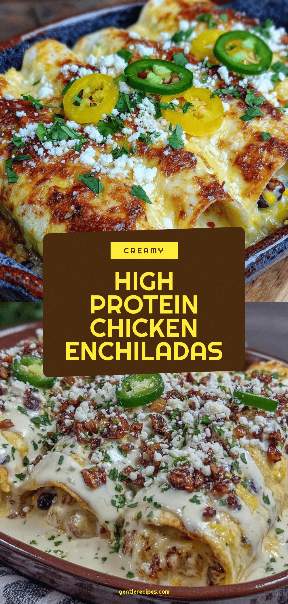 High Protein Chicken Enchiladas Recipe with Creamy White Sauce Easy & Delicious 5 high protein chicken enchiladas recipe