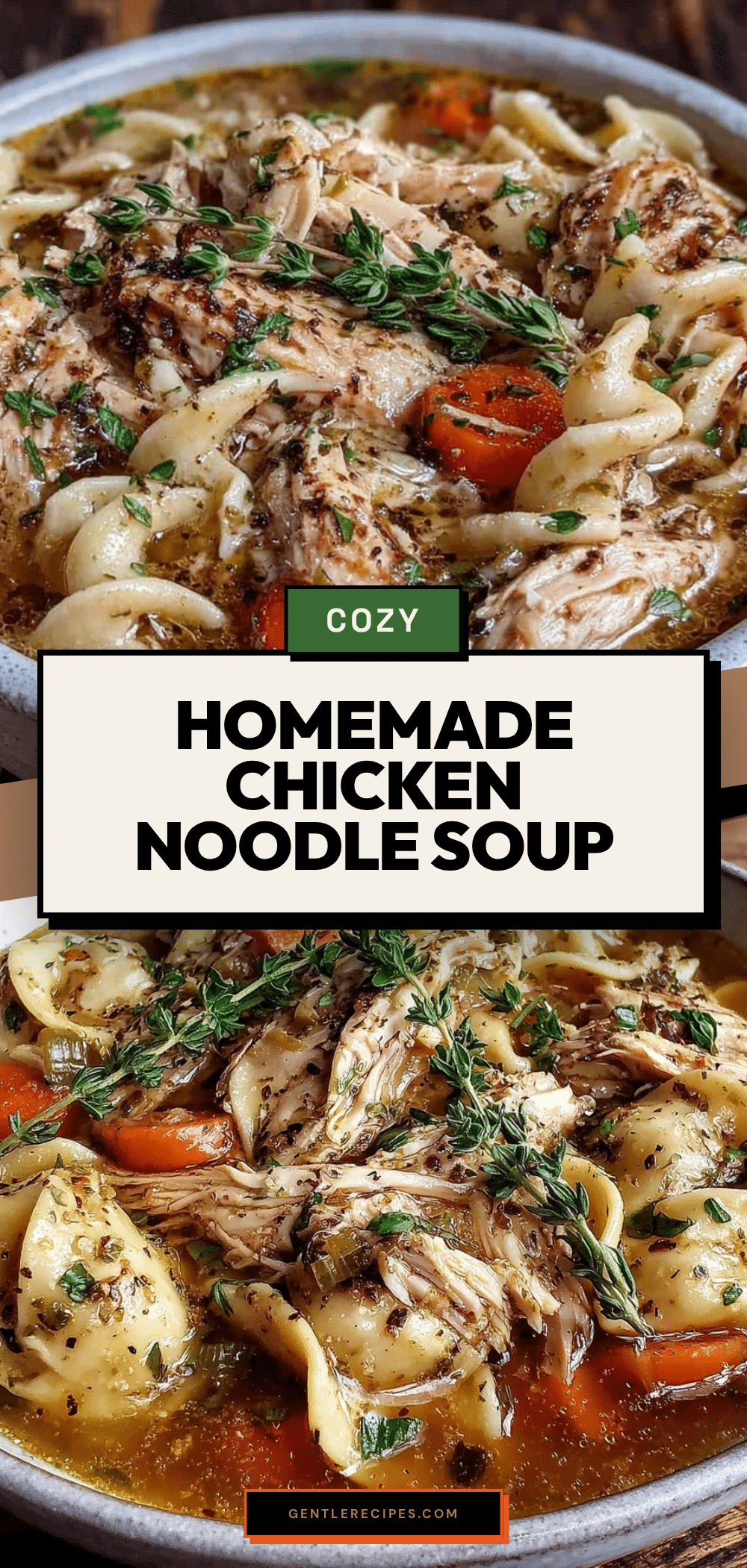 Homemade Chicken Noodle Soup Recipe with Tender Herb Broth in 30 Minutes 5 homemade chicken noodle soup recipe