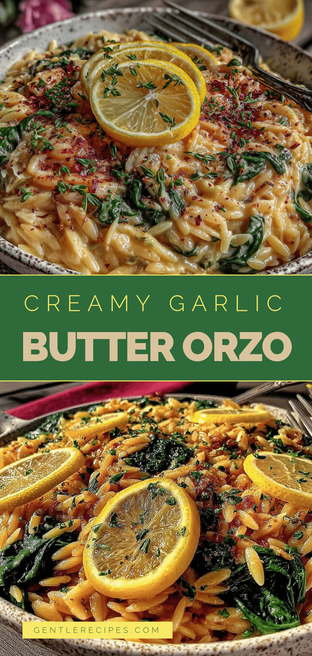 One-Pan Garlic Butter Orzo with Spinach Easy Recipe Ready in 30 Minutes 5 one-pan garlic butter orzo recipe