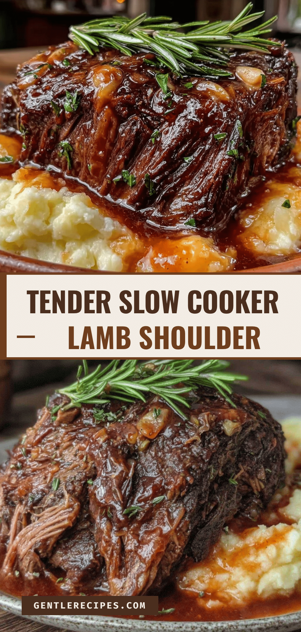 Slow Cooker Lamb Shoulder Recipe Easy Tender Juicy Meals 5 slow cooker lamb shoulder recipe recipe