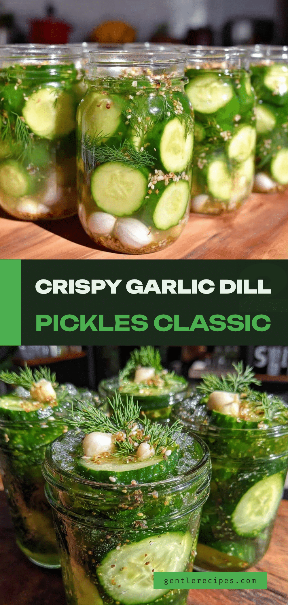 Canning Dill Pickles with Garlic Easy Recipe for Crispy Homemade Flavor 5 canning dill pickles with garlic recipe