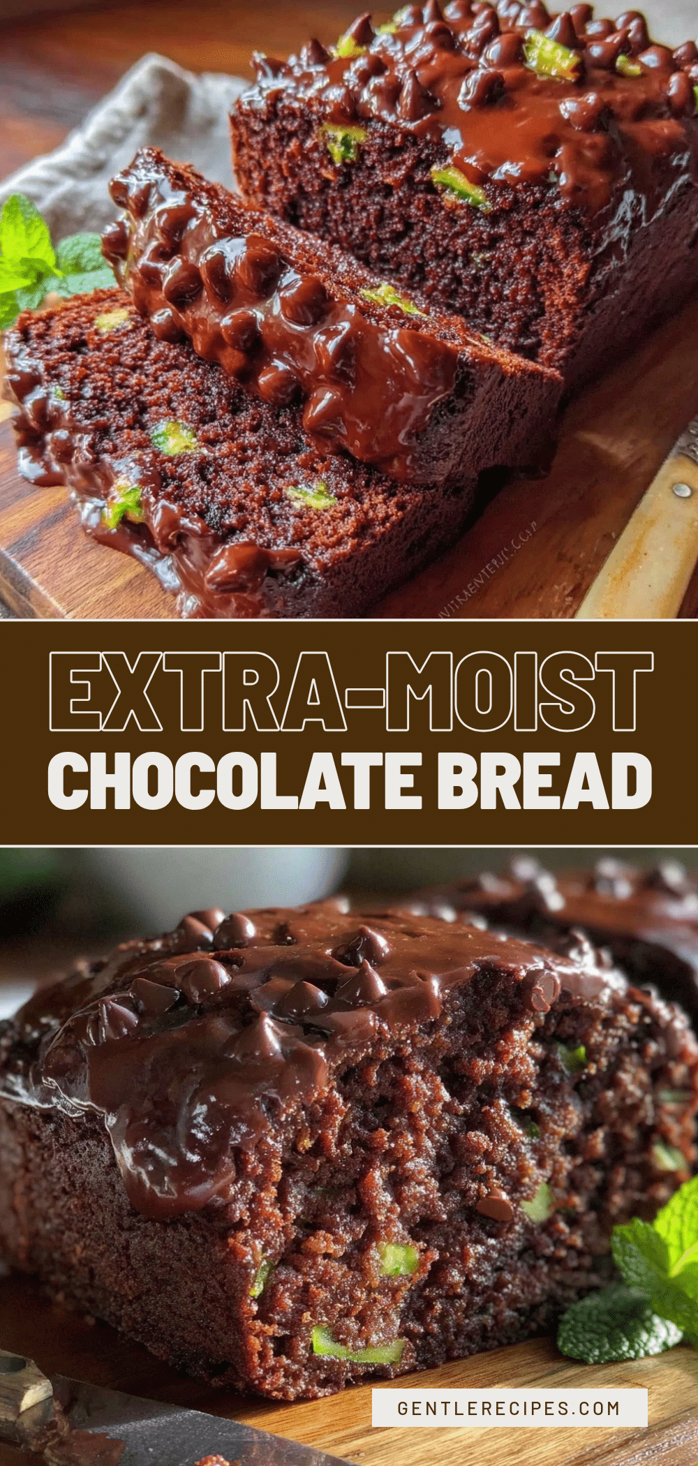 Chocolate Zucchini Bread Recipe Easy Extra-Moist Snack Idea 5 chocolate zucchini bread recipe recipe