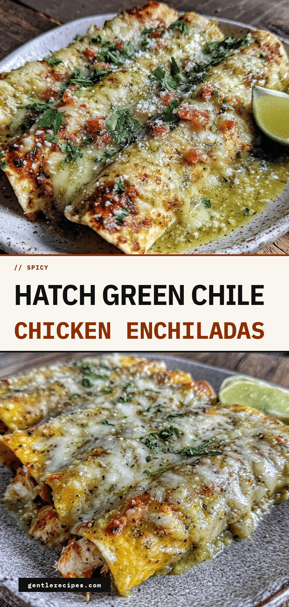 Hatch Green Chile Chicken Enchiladas Recipe with Easy Tangy Tomatillo Sauce 5 Hatch green chile chicken enchiladas recipe